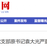 �����м�ί��ίͨ����Ԭ��ⱻ��������