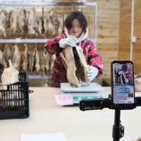 �Ķ������������ջ�ɹ��ٰ�