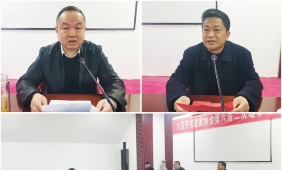 �ܽ�ƽ����ѡ�������鷨��Э����ϯ