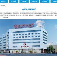 ���ֳ��޷��ṩ����������� �Ϸ���ɽҽԺ����