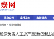 Ҷ�������������¹�ԭ���������ұ���˫����