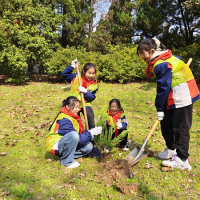 ���������Žֵ���С�������� ������ɳ�